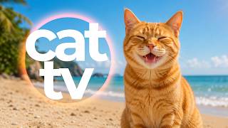 Cat TV for Cats 🐦 10 Hours of Birds, Coral Reefs & Relaxing Music | Entertainment for Indoor Cats