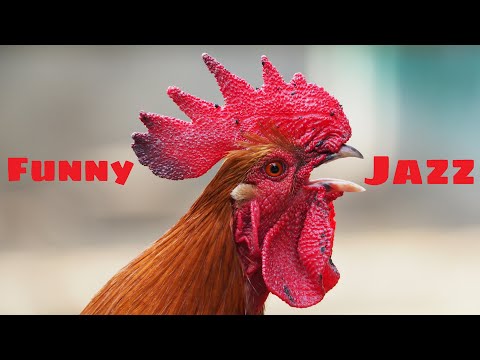 Free To Use - No Copyright Music | Silly Chicken