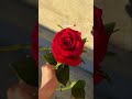 Rafta Rafta Sanam 🫣 Trendingshorts Viralvideo Love Whatsappstatus Youtubeshorts Kashuns