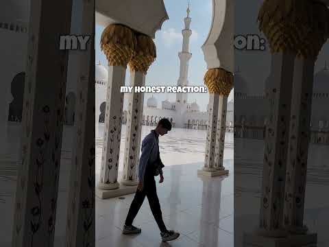 CATCOIN IS ANOTHER SCAM  #shorts #xtacox #dubai