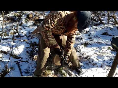 Winter Ash Harvest / Ash Basket Making