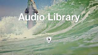 Cover art for Dolphin Af