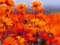 Tal Allez laisse-toi, aller (Lyric) 