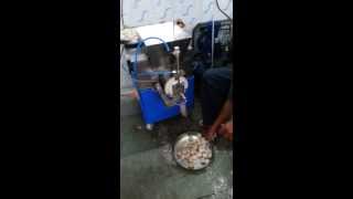 preview picture of video 'compact dough ball / peda making machine rajkot'