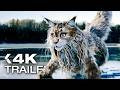 MIAU UND WAU Trailer German Deutsch 2025