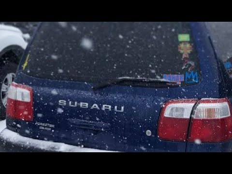 2001 Subaru Forester Engine Mounts