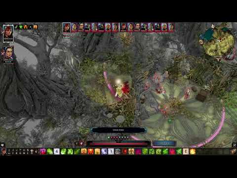 Divinity Original Sin 2  Necromancy OP