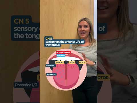 Tongue Innervation Memorization Trick!
