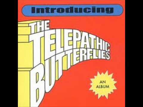 The Telepathic Butterflies - Big Bang