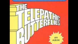 The Telepathic Butterflies - Big Bang