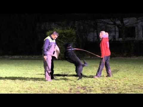 Ackey Levemar - protection training 1/2015