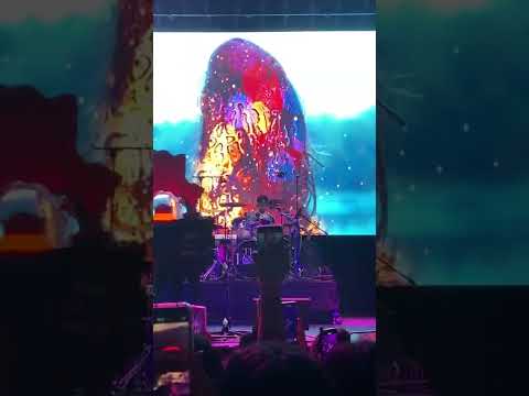 She's in the Rain - The Rose | HEAL TOGETHER TOUR in Mexico