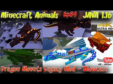 Dragon Mounts Mod 1.16.5 Showcase Tutorial Ride on Dragons Minecraft 1.16.5 Minecraft Animals Ep89