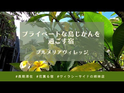 【父島宿めぐりツアー#5】プルメリアヴィレッジ（字幕あり）