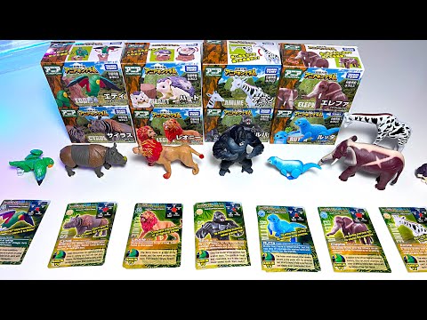 Takara Tomy Animals Collection - Lion, Elephant, Gorilla, Giraffe, Otter, Hedgehog, Parrot, Rhino