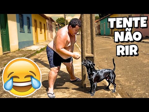 TENTE NÃO RIR: VÍDEOS ENGRAÇADOS 2025 E MEMES - #86
