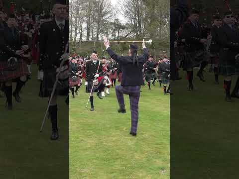 Massed Highland Pipe Bands playing Shoals of Herring at Crawl Park in Alness, Scotland 2023 #reels