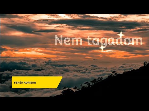 Fehér Adrienn Nem tagadom  szöveggel