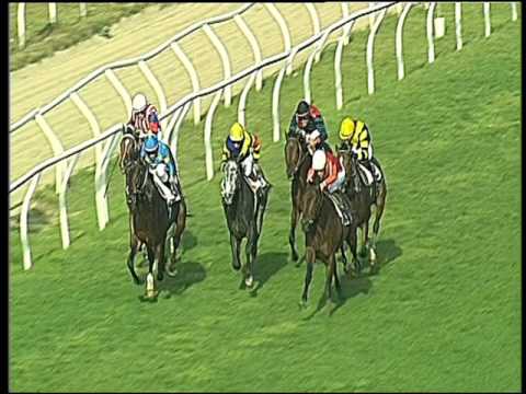 Galoppo 29/03/2016 - 5° corsa