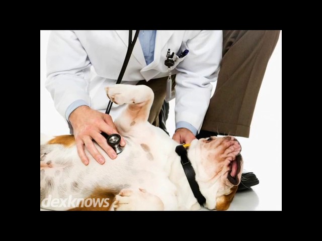 Willmar Pet Hospital - Willmar, MN