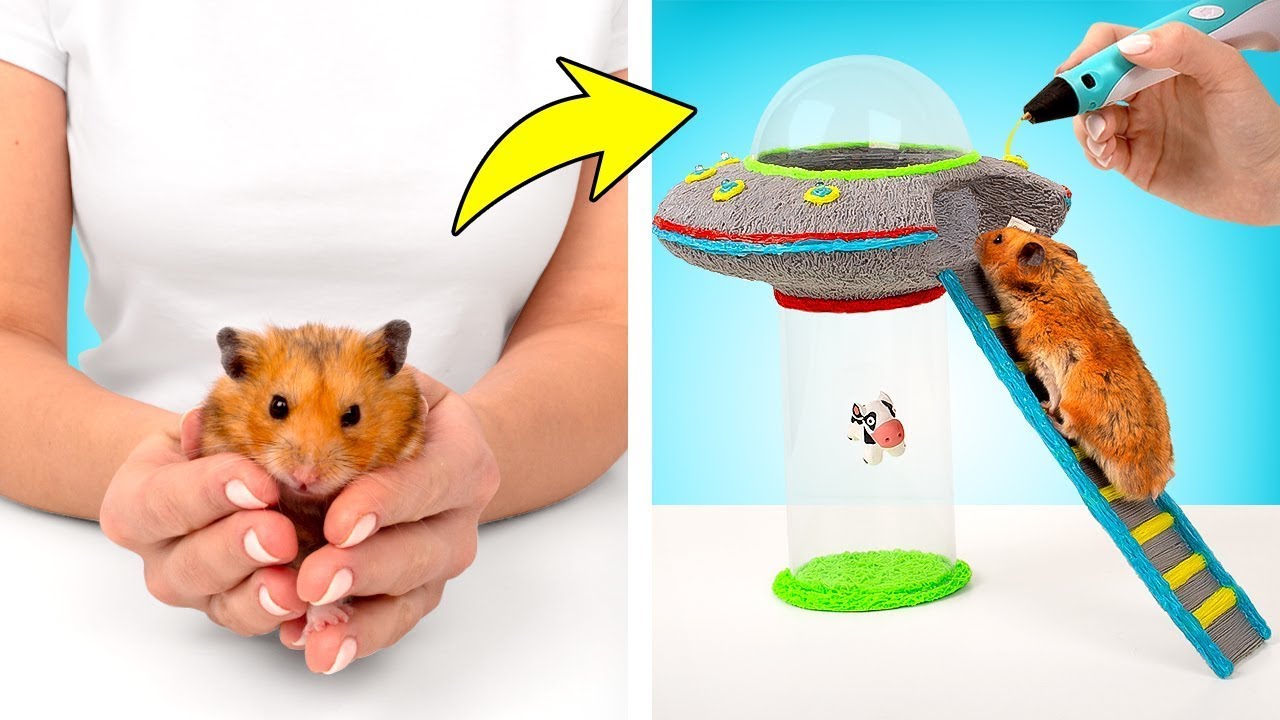 Disco voador para Hamster DIY com caneta 3D