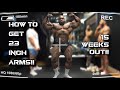 BEST ARM WORKOUT!! How I got 23 inch arms!!