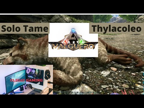 How to Solo tame a Thylacoleo