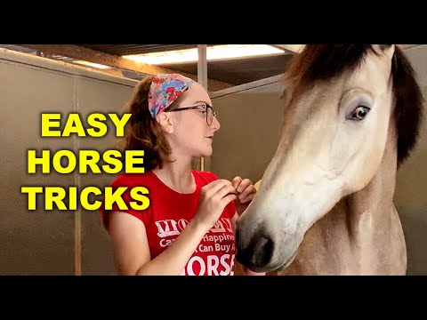 Easy HORSE Tricks!