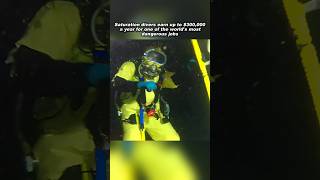 One of the World's Most Dangerous Jobs