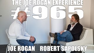 JRE 965 - Robert Sapolsky