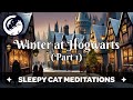 'Winter Magic at Hogwarts' (Part 1 of 2) Guided Sleep Story inspired by Harry Potter