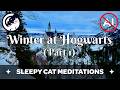Winter Magic At Hogwarts Part 1 Of 2 Guided Sleep Story Inspired By Harry Potter