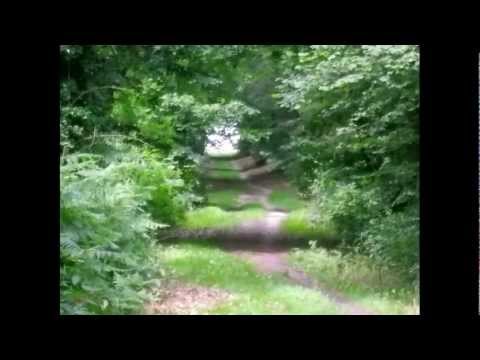 PIETERPAD in 10 DAGEN Maastricht - Pieterburen