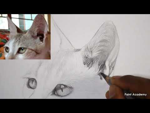 Mountains and Pine Tress Watercolor Pencil Landscape Drawing | steps to follow