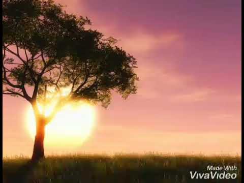 Sacrifício de Jesus