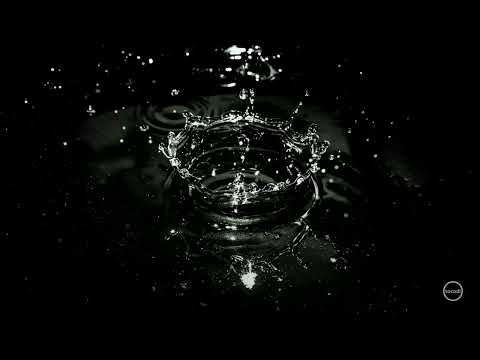 Disruptive - Janset | Lyrics