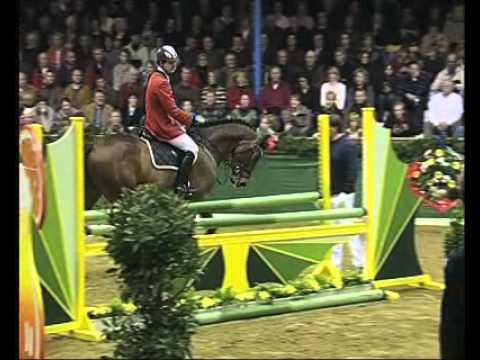 Codec - Elite Stallions