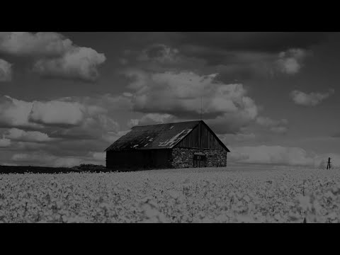 Luis Cont and 2 more