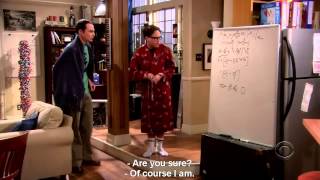 The Big Bang Theory 1x5 | Incorrect Equation