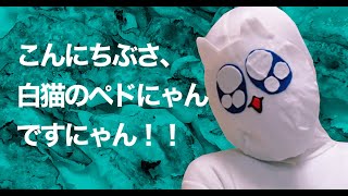 自己紹介するにゃん♪