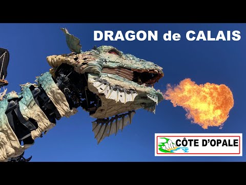 Dragon de Calais - Côte d'Opale