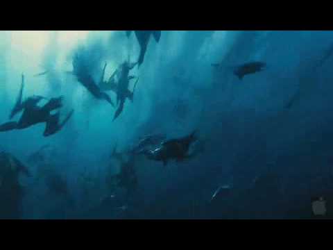 Thumbnail of the video: Wild Ocean 3D (Trailer engl.)