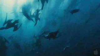 Wild Ocean 3D (Trailer engl.)
