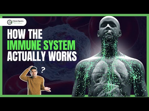 How the Immune System Actually Works! | ClinicSpots