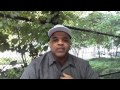 DEEP UNDERGROUND HIP HOP HISTORY MARIO JAZZY JAY GW THEODORE AFRIKA BAMBAATAA SOUNDVIEW BX
