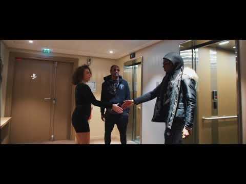 FAMILY DOG - SAL HISTOIRE