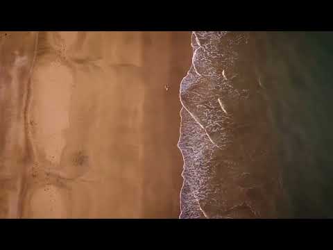 ARGONNE | ALONE MUSIC | zachariah hickman | #MUSIC4U