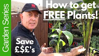Save Money by Splitting and Propagating Plants