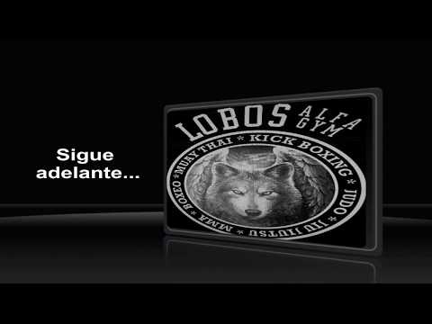 1er. Combate de IKER (Muay Thai - Kick Boxing) Lobos Alfa Gym