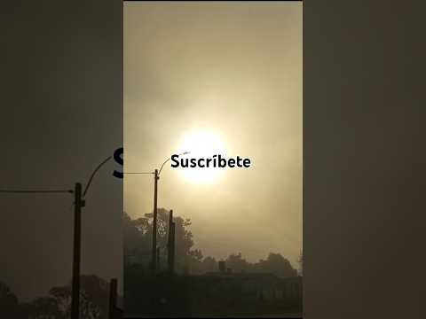 Niebla 🌫️ y Sol ☀️ Pinamar, Canelones, Uruguay 🇺🇾